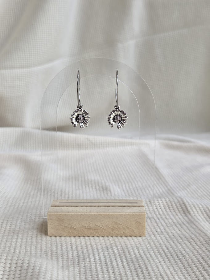 Charm Hoops RVS, zilvertint